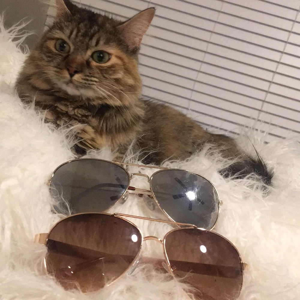 Sunglasses